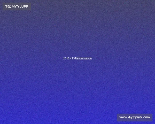 2018NEST全国电子竞技大赛全程直击 2018NEST全国电子竞技大赛全程直击