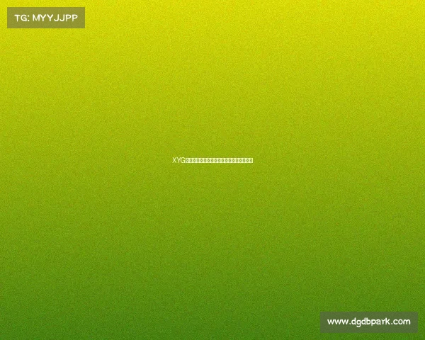 XYG战队宝藏礼盒重磅来袭，独家福利抢先揭秘